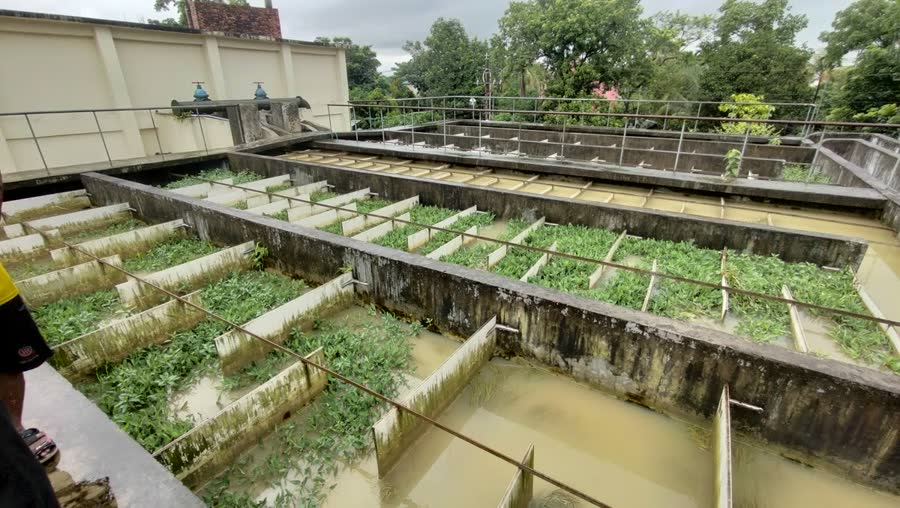 Environmental Sustainibility